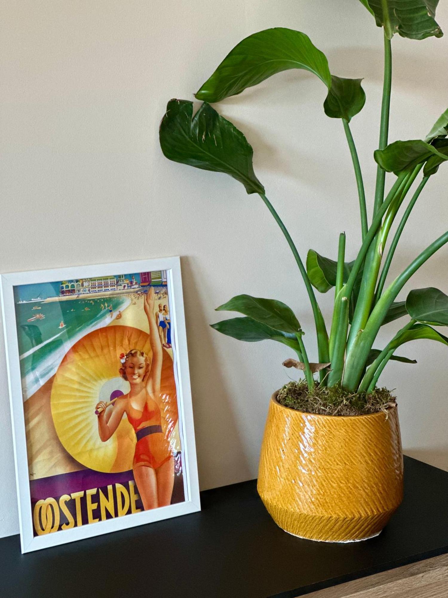 Studio By Aimee - 20M From The Beach & In City Centre! オステンド エクステリア 写真